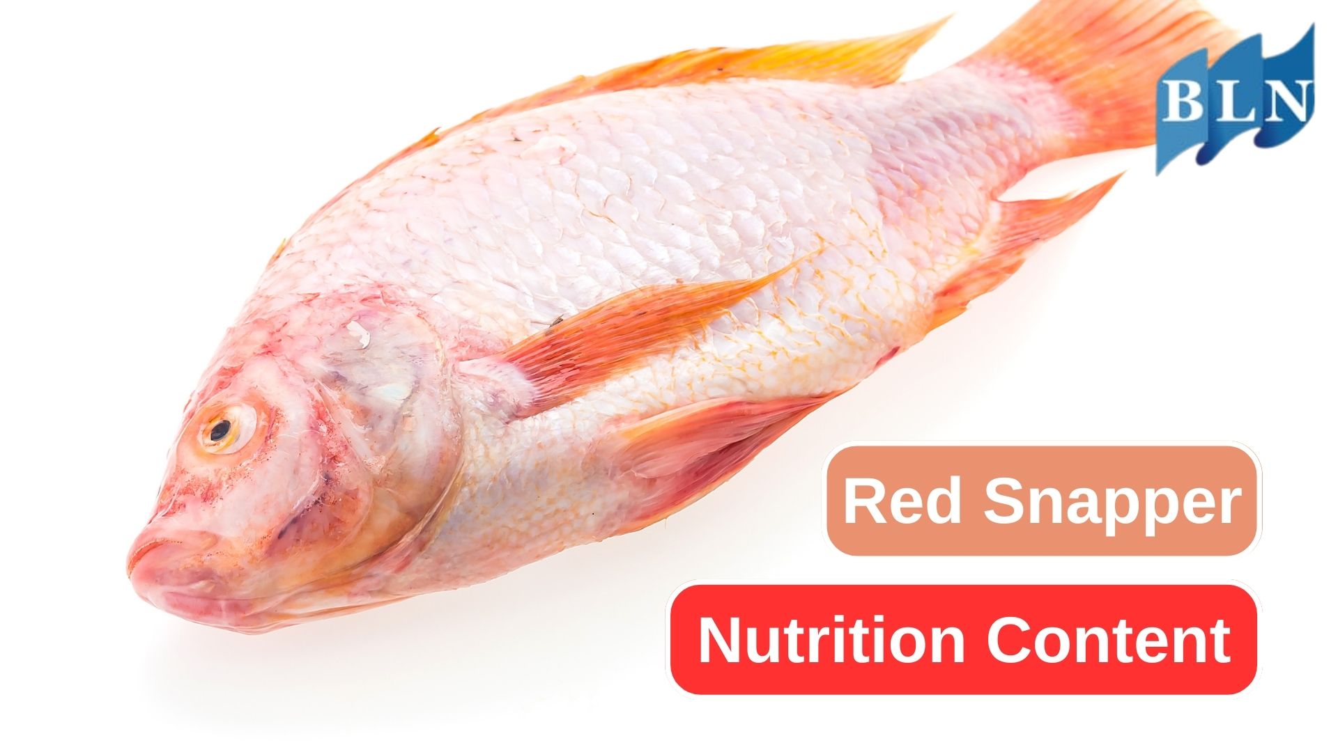 These Are Some Nutrition You Get from Red Snapper